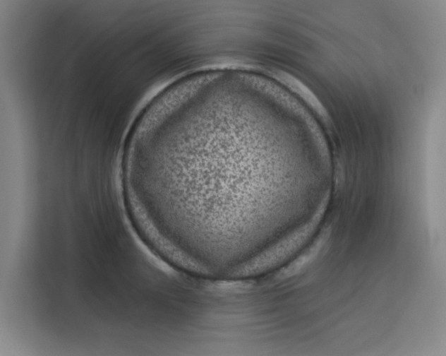 X0000113280847200910051039