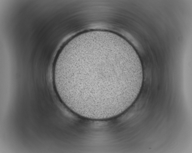 X0000113280848200910051039