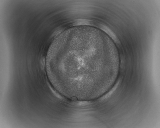 X0000113280849200910051039