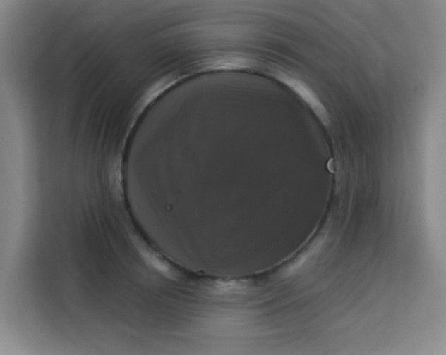 X0000113280850200910051039