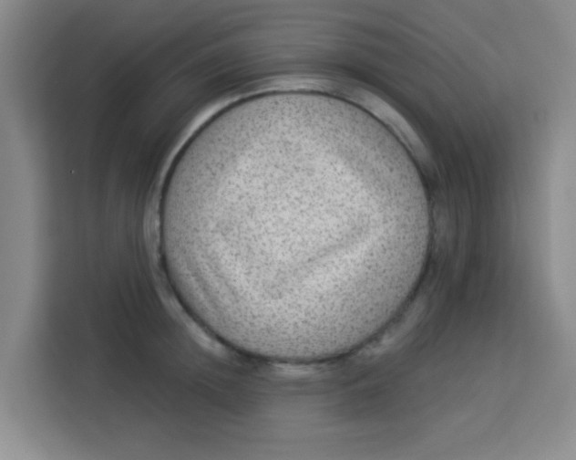 X0000113280852200910051039