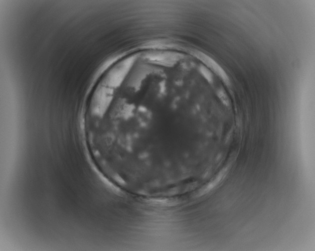 X0000113280855200910051039