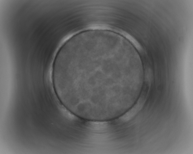 X0000113280856200910051039