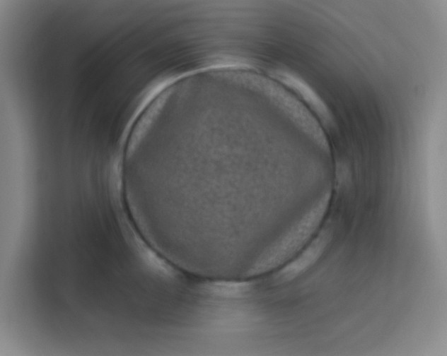 X0000113280860200910051039