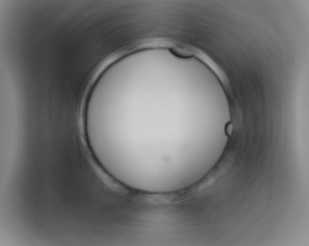 X0000113280861200910051039