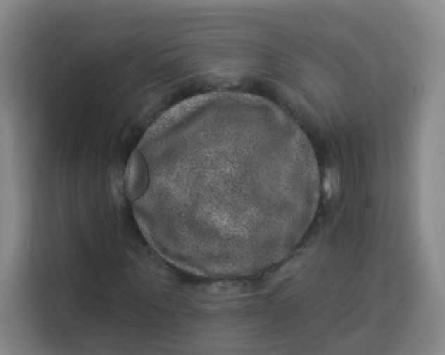 X0000113280867200910051038