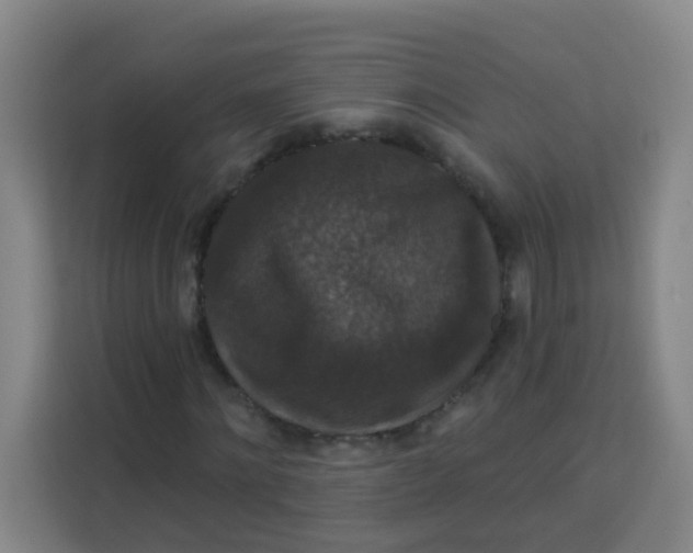 X0000113280868200910051038