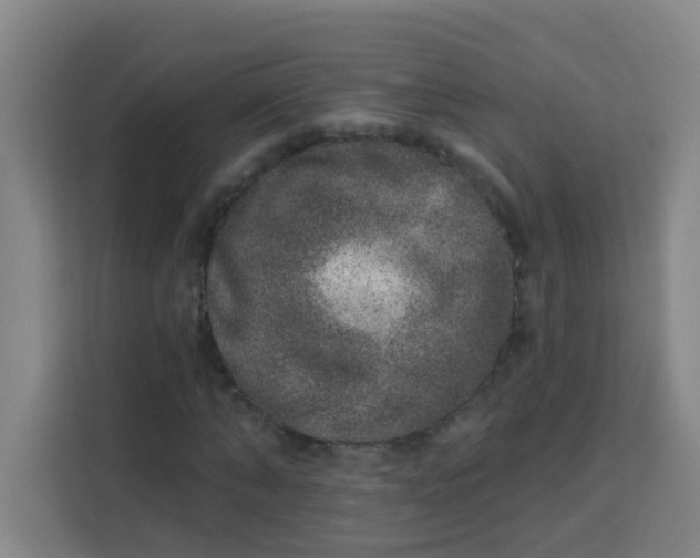 X0000113280870200910051038