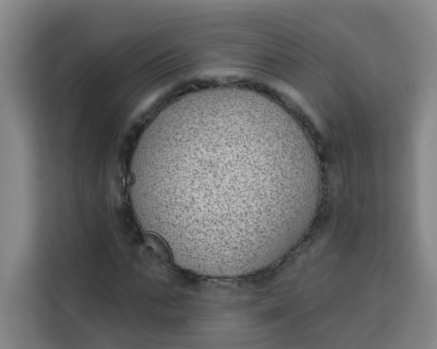 X0000113280871200910051038