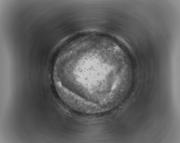 X0000113280872200910051038