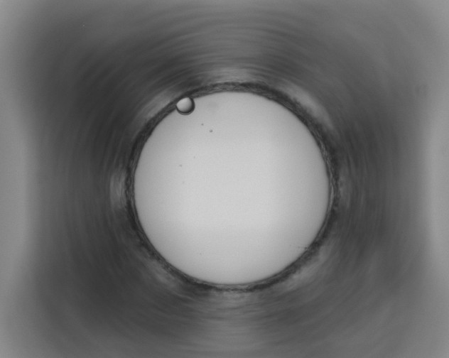 X0000113280873200910051038