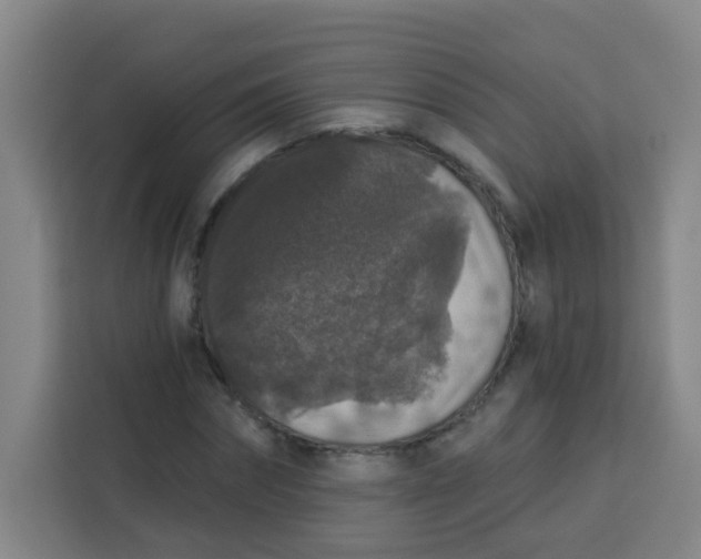 X0000113280874200910051038