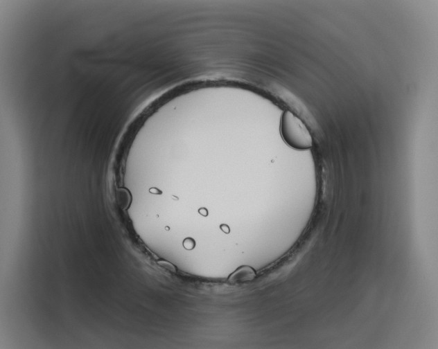 X0000113280876200910051038