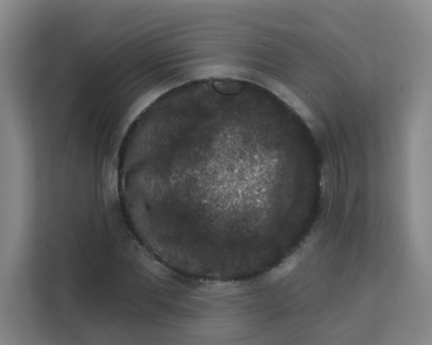 X0000113280877200910051038