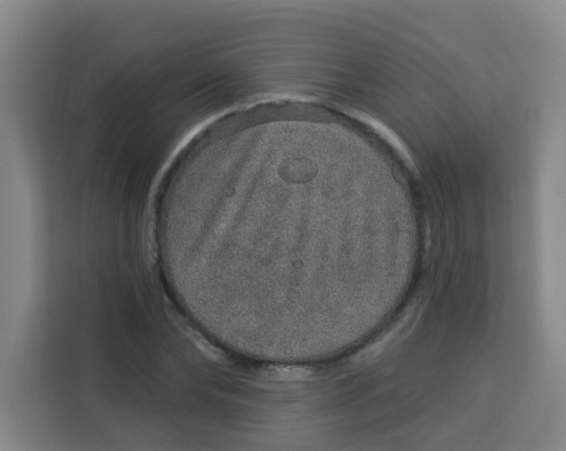 X0000113280878200910051038