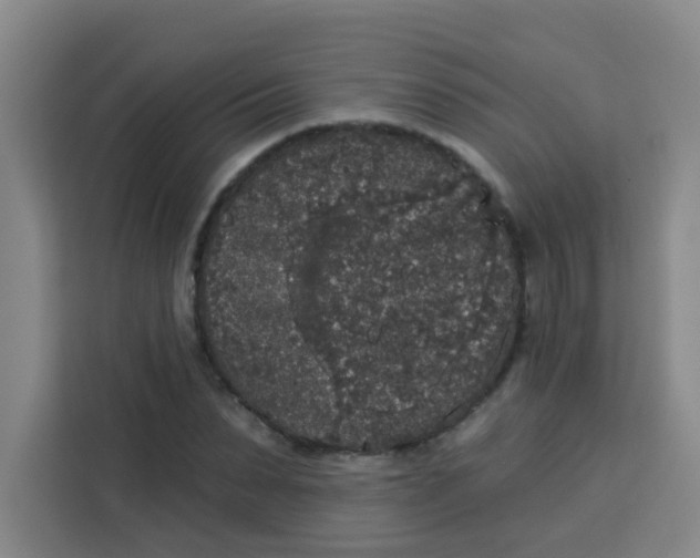 X0000113280879200910051038