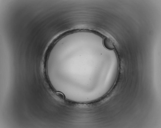 X0000113280880200910051038