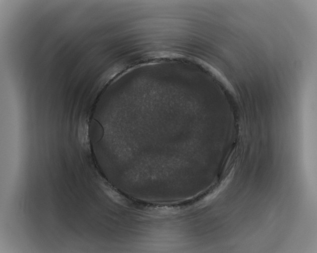 X0000113280881200910051038