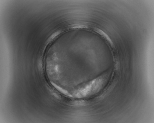 X0000113280882200910051038