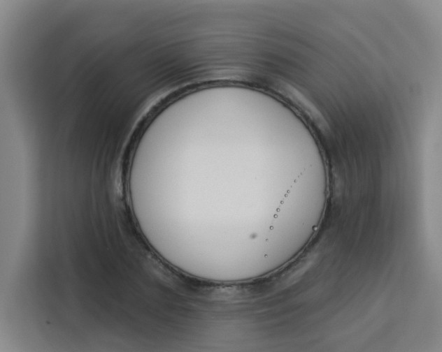 X0000113280883200910051038