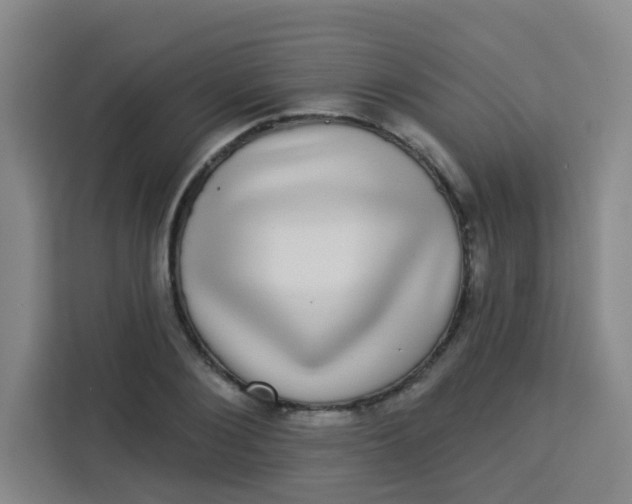 X0000113280884200910051038