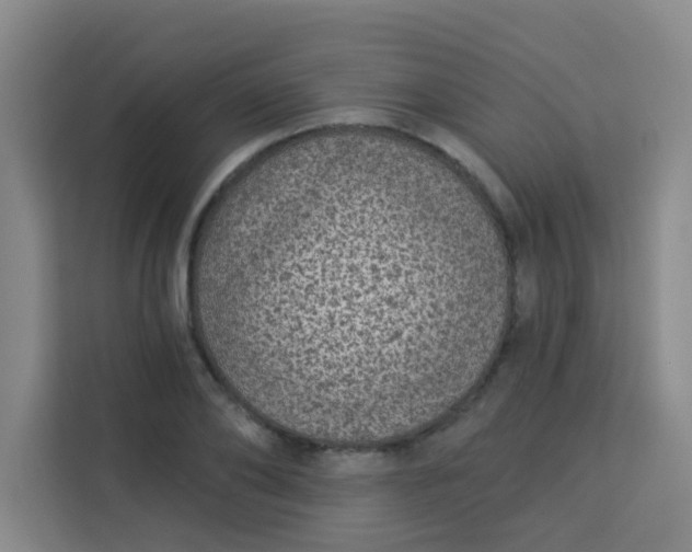 X0000113280886200910051038