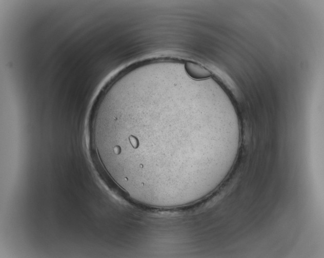 X0000113280888200910051038