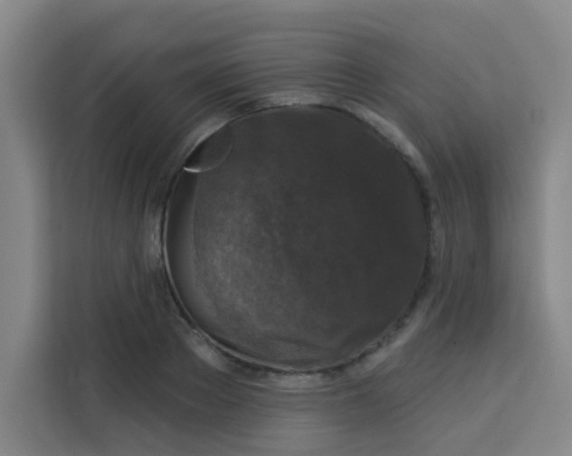 X0000113280889200910051038