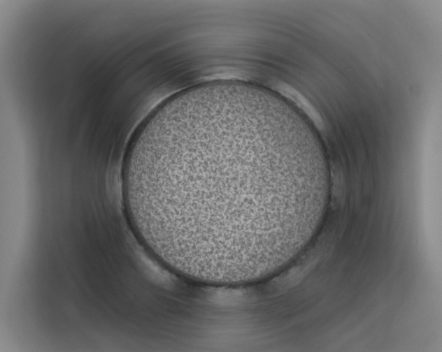 X0000113280890200910051038