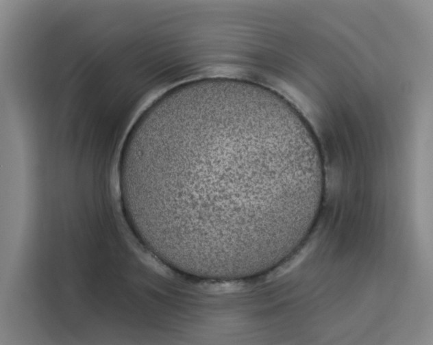 X0000113280891200910051038