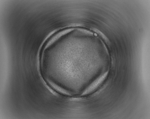 X0000113280894200910051038