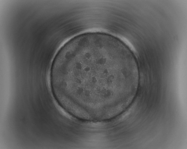 X0000113280895200910051038