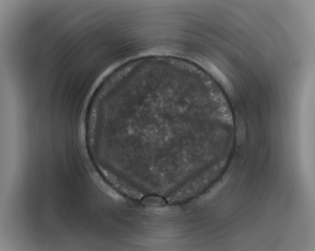 X0000113280896200910051038