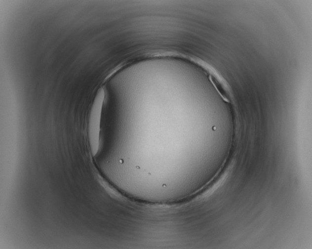 X0000113280897200910051038