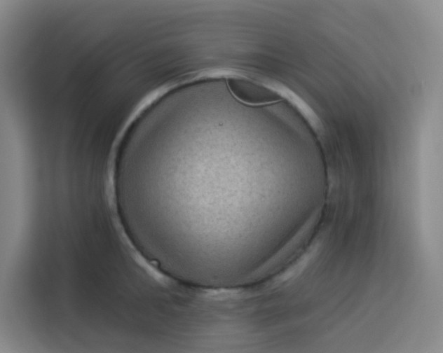 X0000113280902200910051038