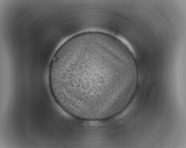 X0000113280903200910051038