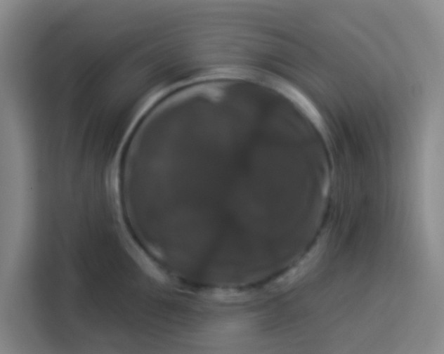 X0000113280907200910051038