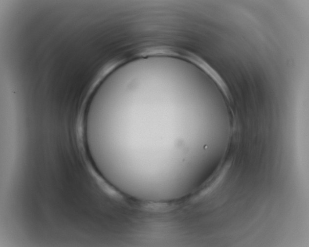 X0000113280909200910051038