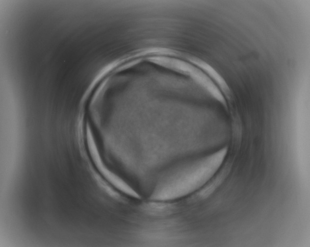 X0000113280910200910051038