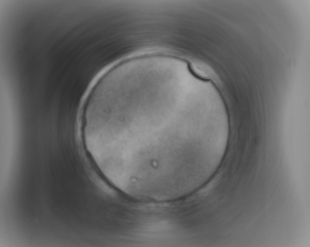 X0000113280912200910051038