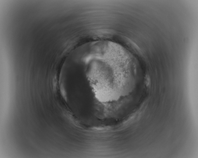 X0000113280915200910051037