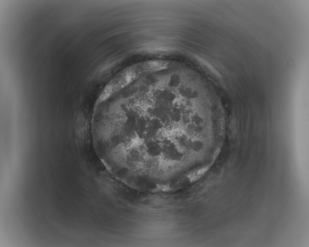 X0000113280917200910051037