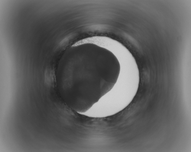 X0000113280918200910051037