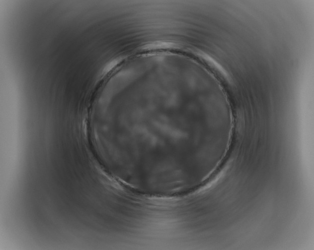 X0000113280921200910051037