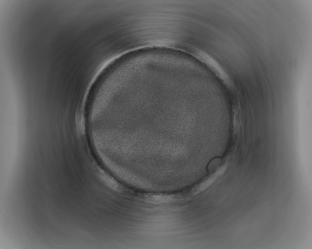 X0000113280924200910051037