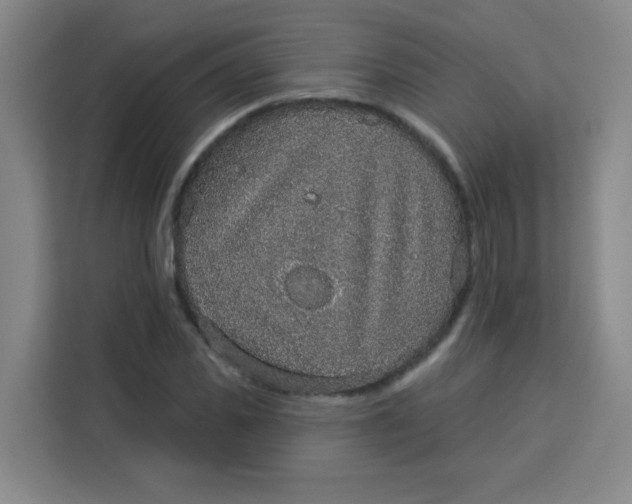 X0000113280925200910051037