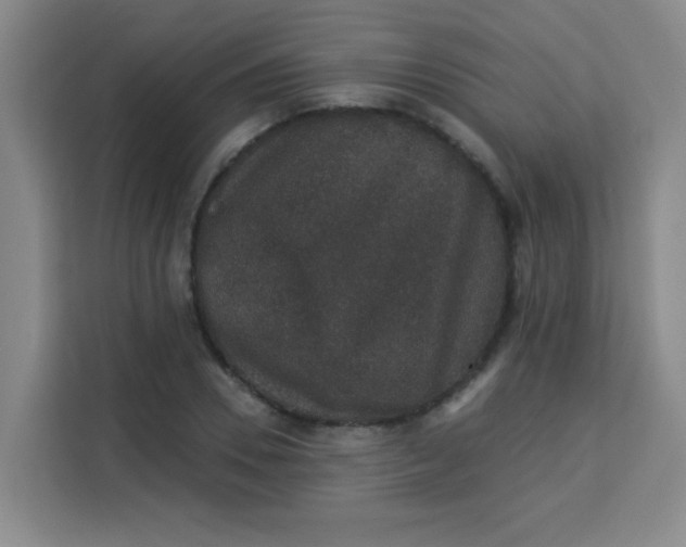 X0000113280930200910051037