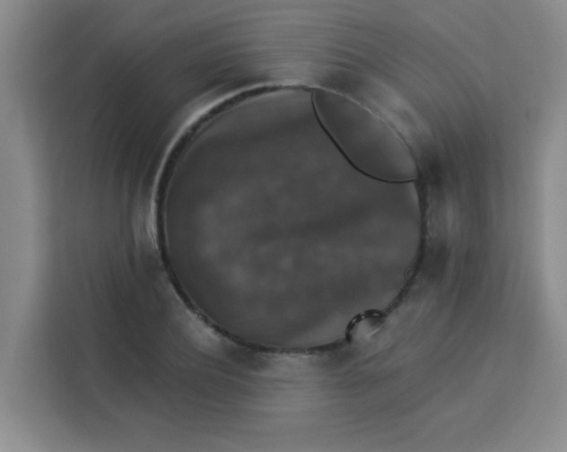 X0000113280932200910051037