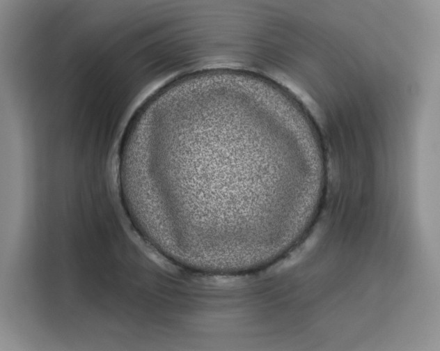 X0000113280933200910051037