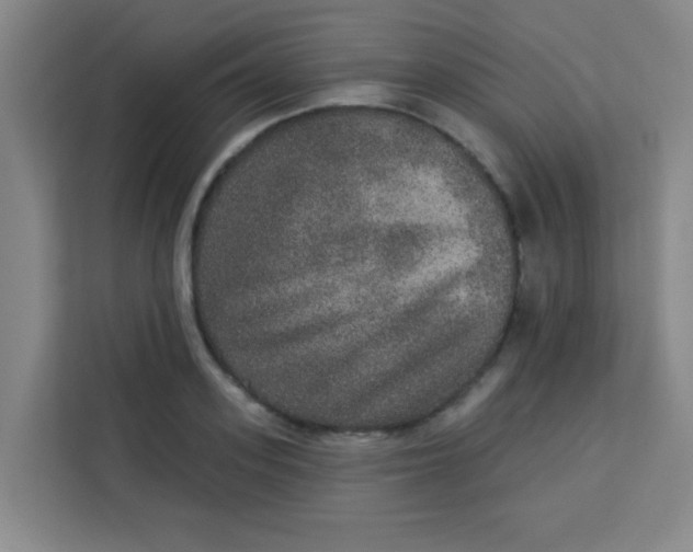 X0000113280939200910051037